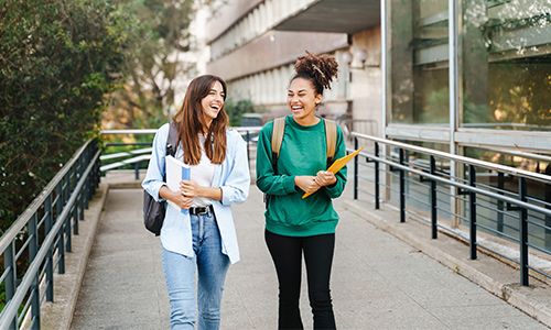 University Colleges & TAFE